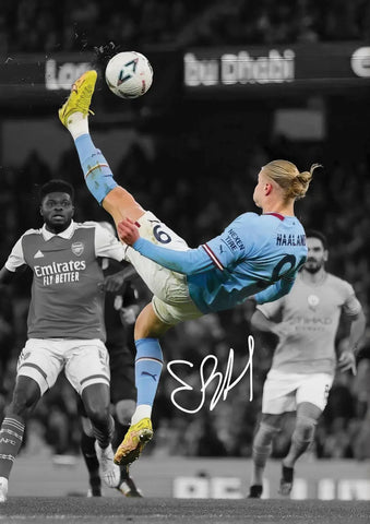 Poster Haaland